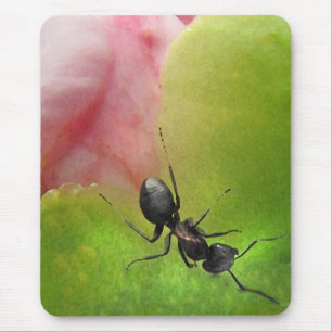 The Ant and the Peony Mouse Pad