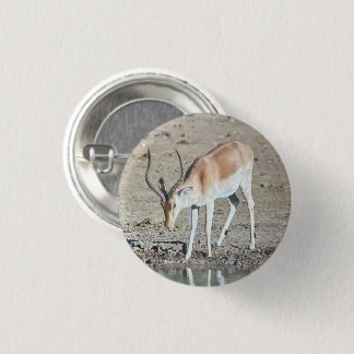 The antelope,  3 cm round badge