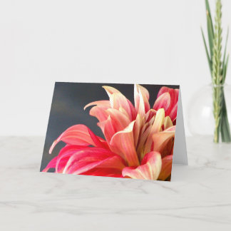 The any occasion card. thank you card