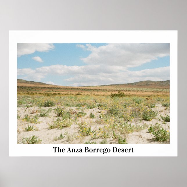 The Anza Borrego Desert Poster (Front)