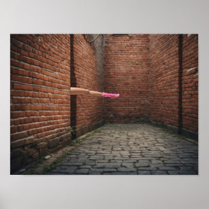 The Appearance of a single Long Leg Poster