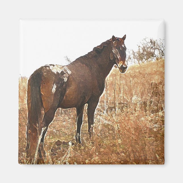 The Appy Magnet (Front)