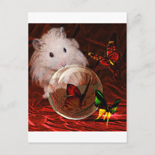 THE APRENTICE POSTCARD