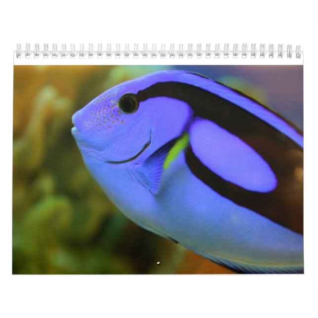 The Aquarium Calendar (Cover)