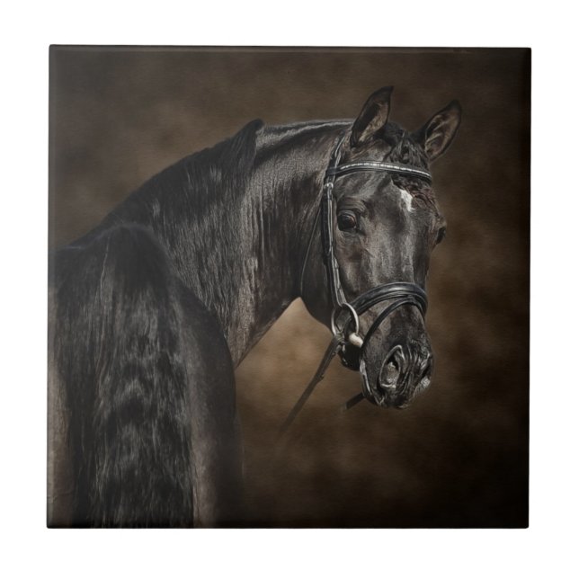 The Arabian Ceramic Tile (Front)