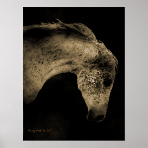 The Arabian Mare Poster