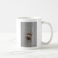 The Arachnid Intricate Design