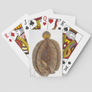 The Argus Flounder (Pleuronectes Argus) plate XLVI Playing Cards