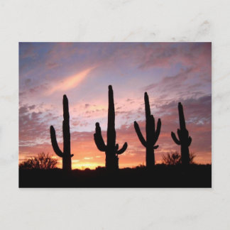 "The Arizona Show" Postcard