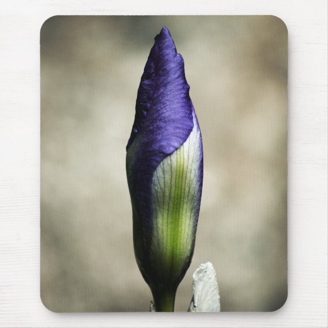 The Arriving Beauty Mousepad (Front)