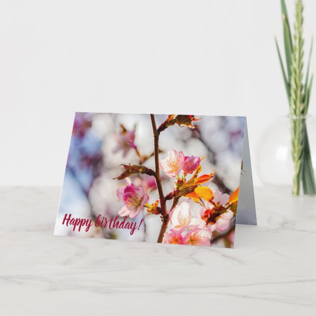 The Art Of Cherry Blossoming On A Sunny Day Card (Front)