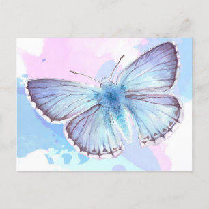 The Art Of Colourful Butterfly   Special Gift Announcement Postcard