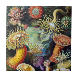 The Art of Nature by Ernst Haeckel Ceramic Tile