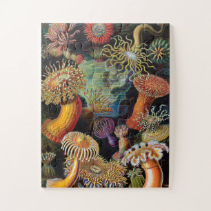 The Art of Nature by Ernst Haeckel Jigsaw Puzzle