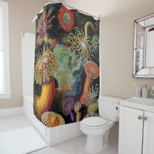 The Art of Nature by Ernst Haeckel Shower Curtain