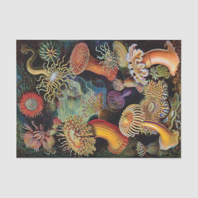 The Art of Nature by Ernst Haeckel Tissue Paper (Front)