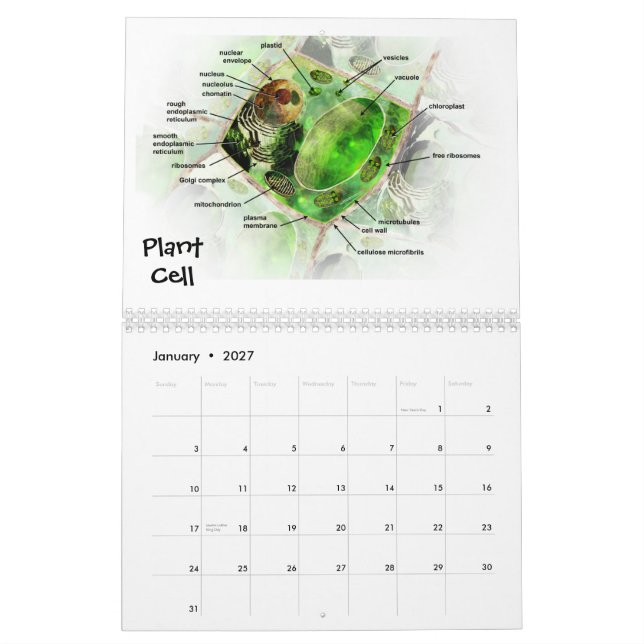 The Art of Science calendar (Jan 2027)