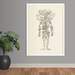 The Arteries Human Anatomy Vintage Poster