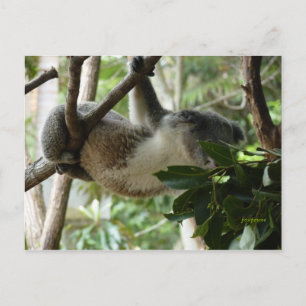 the artist postcard