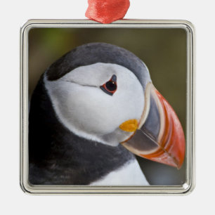 The Atlantic Puffin, a pelagic seabird Metal Tree Decoration