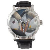 The Atlantic Puffin, a pelagic seabird