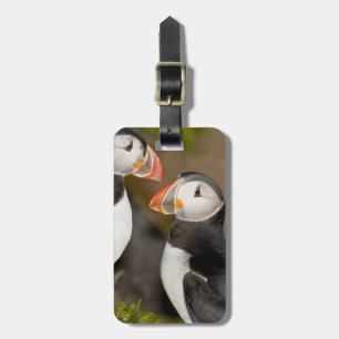 The Atlantic Puffin Luggage Tag