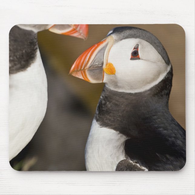 The Atlantic Puffin Mouse Pad (Front)