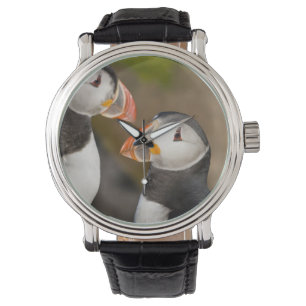 The Atlantic Puffin Watch