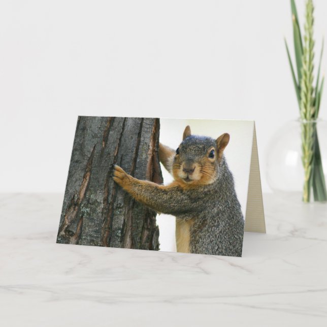 "the attentive squirrel" blank greeting card (Front)
