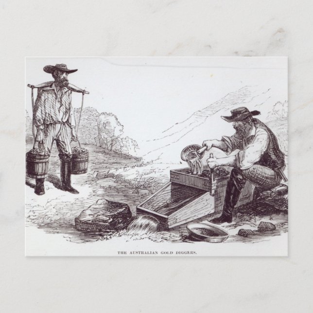 The Australian Gold Diggers Postcard (Front)