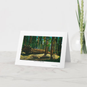 The Auto Log in Giant Forest, Redwoods Card
