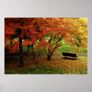The Autumn Bench Poster