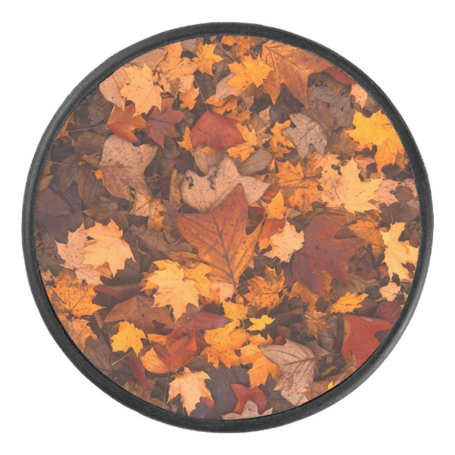 the autumn hockey puck (Front)