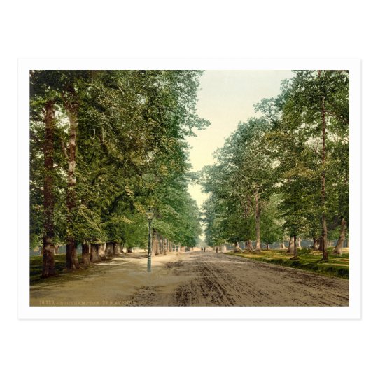 The Avenue, Southampton, Hampshire, England Postcard