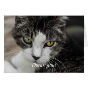 The Baby Look Thank You Card