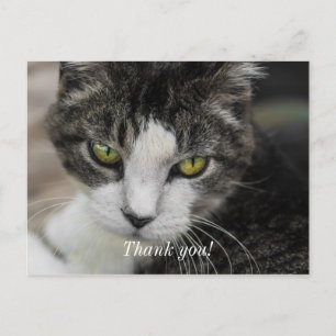The Baby Look Thank You Postcard