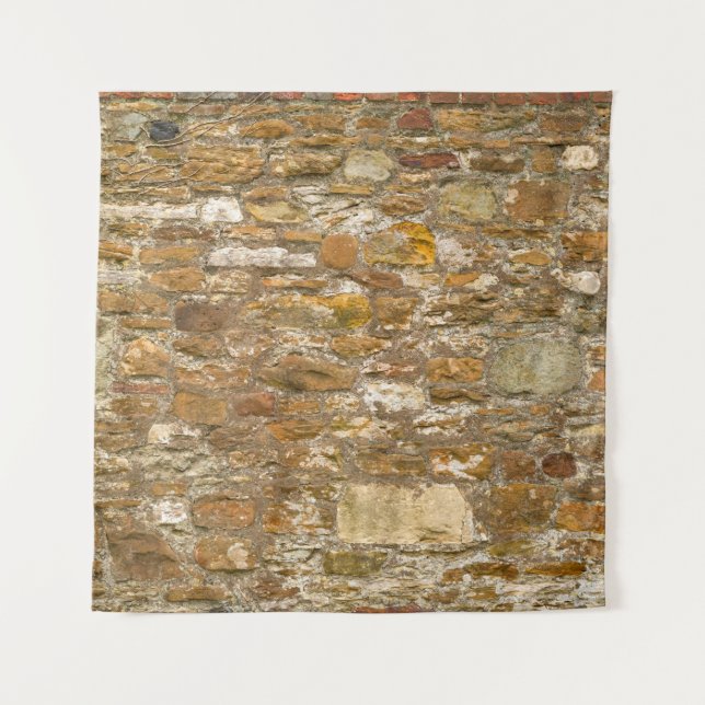 The background and texture stone wall. High resolu Tapestry (Front)