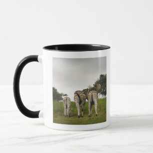The backside of three zebras, South Africa Mug
