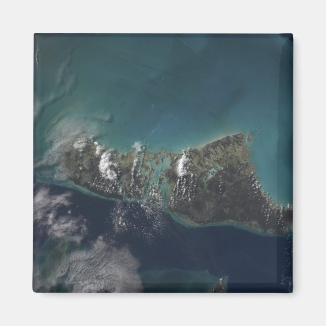 The Bahamas' Andros Island Magnet (Front)