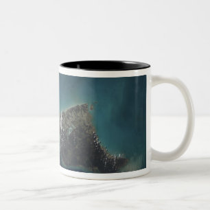 The Bahamas' Andros Island Two-Tone Coffee Mug
