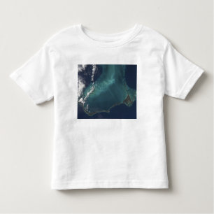 The Bahamas' lengthy narrow Eleuthra Island Toddler T-Shirt
