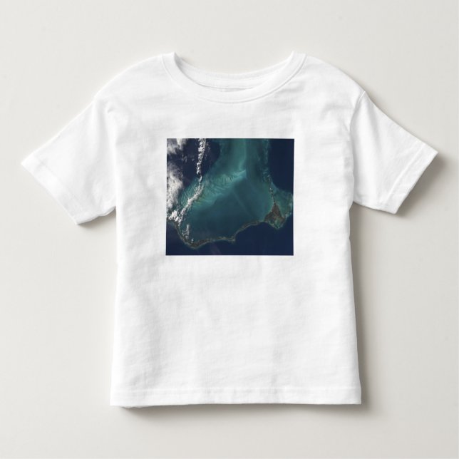 The Bahamas' lengthy narrow Eleuthra Island Toddler T-Shirt (Front)