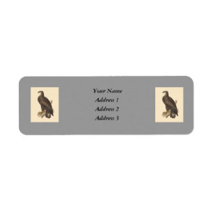 The Bald Eagle (Haliaetos leucocephalus) Return Address Label