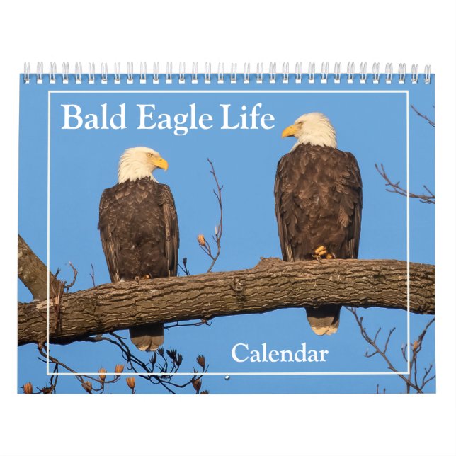 The Bald Eagle Life Calendar (Cover)