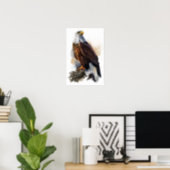 The bald eagle poster (Home Office)