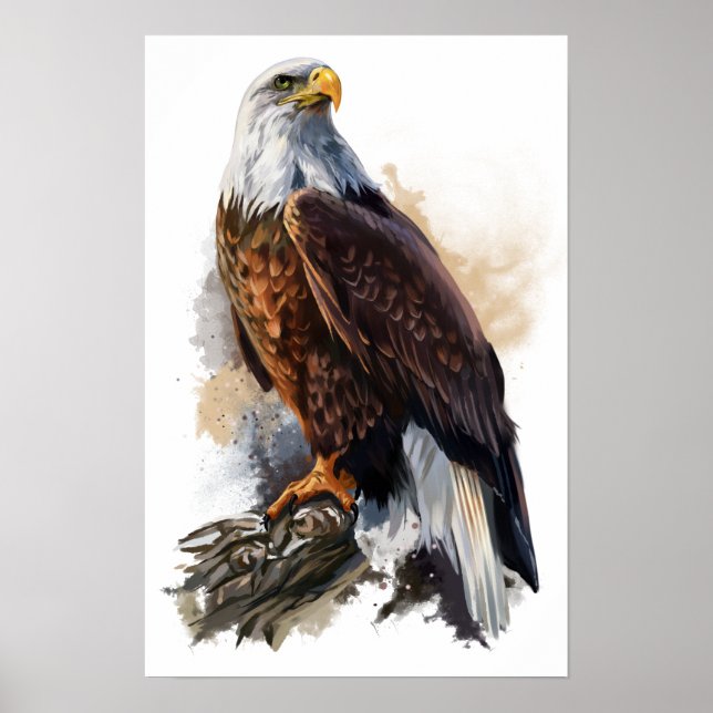 The bald eagle poster (Front)