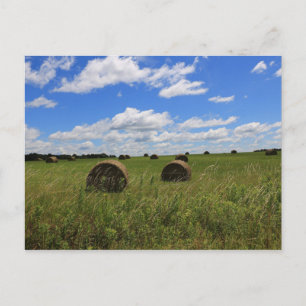 The Bales of Summer Postcard