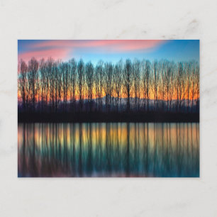 The Bank of the Po   Piedmont Italy Postcard