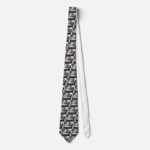 The Baptist Home Tie