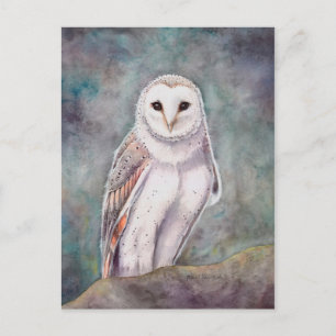 The Barn Owl Wildlife Watercolor Artwork Postcard